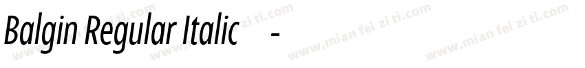 Balgin Regular Italic 语言英文字体转换